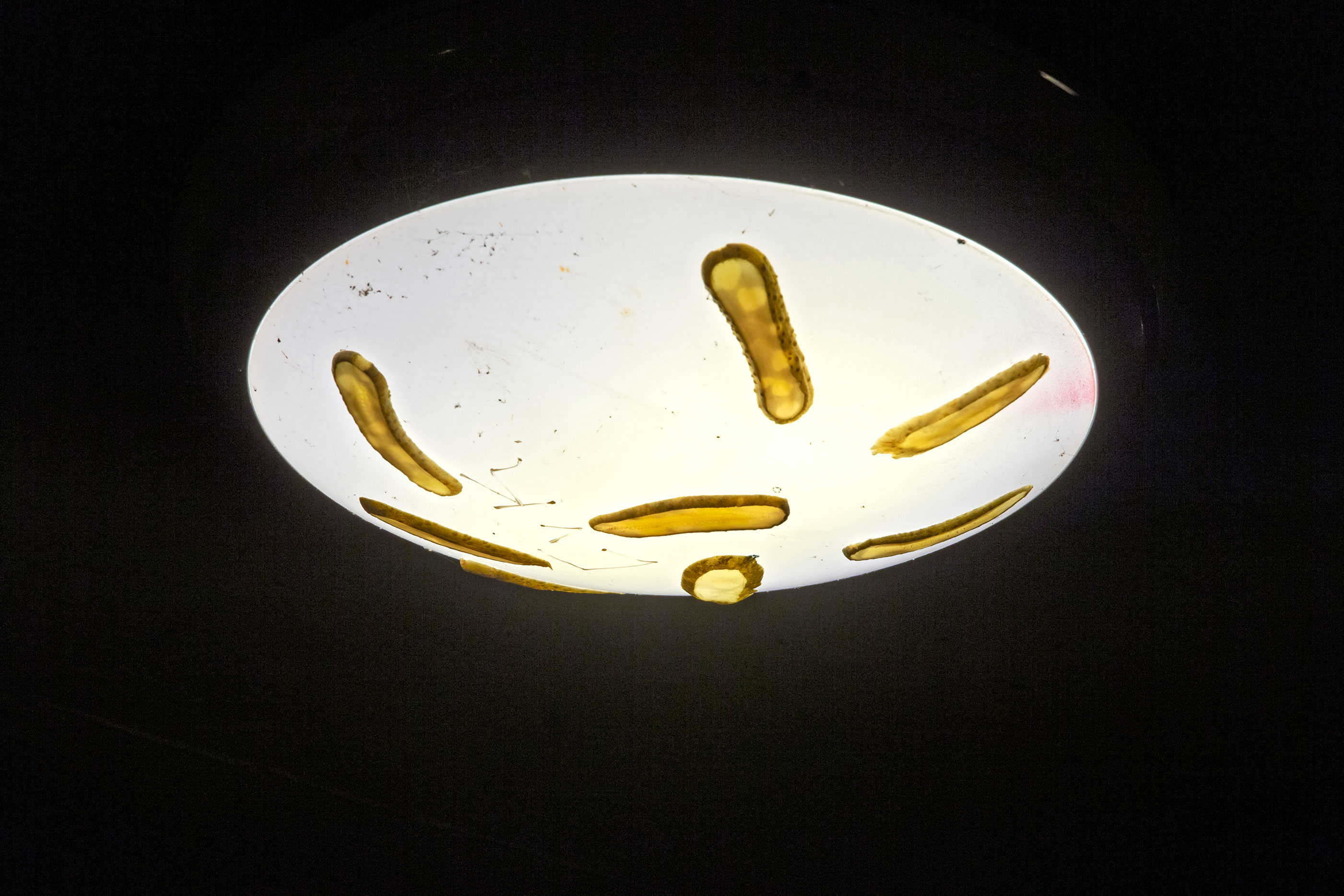 2021 02 PORTAL, Subwalk, Basel — Manuel Schneider — Jeronim Horvat